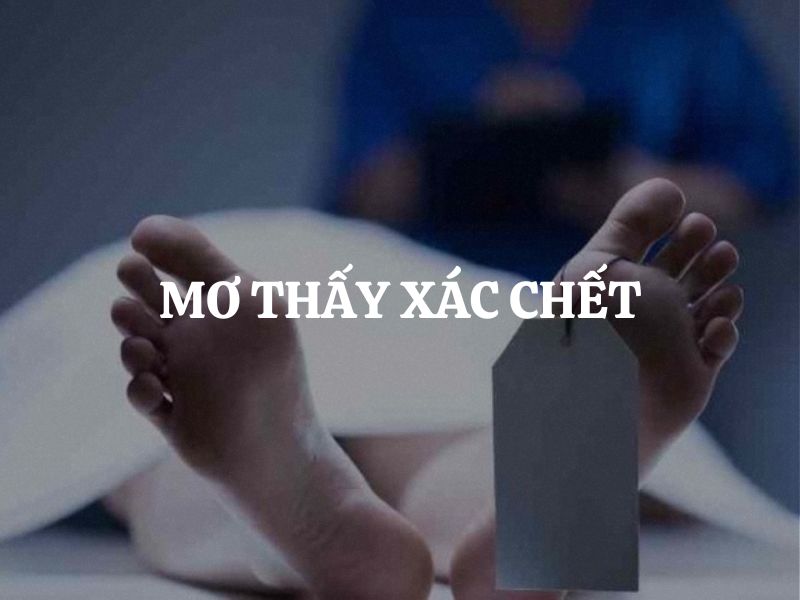 Giới thiệu về giấc mơ mơ thấy xác chết